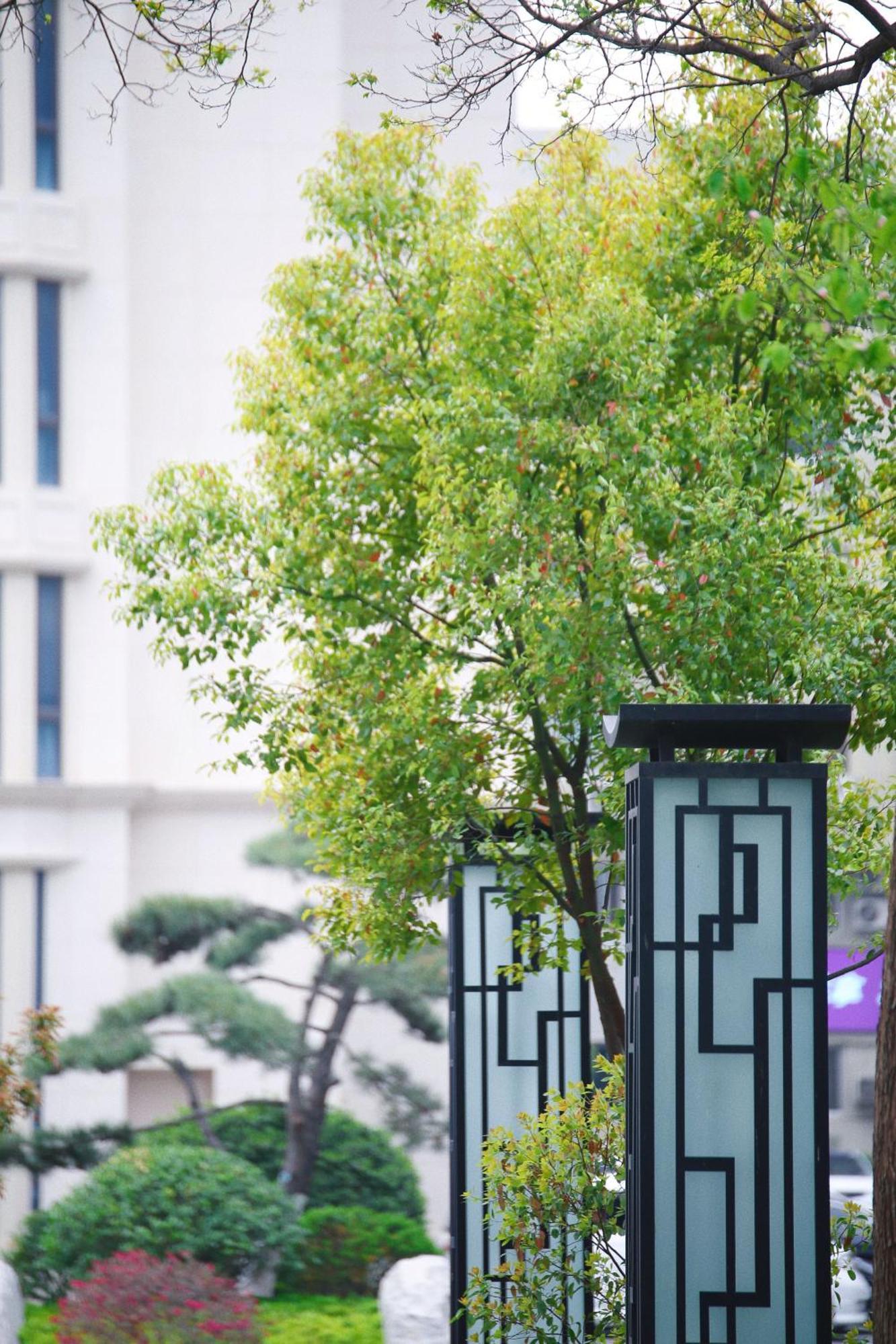 Holiday Inn Zhengzhou Zhongzhou By Ihg Εξωτερικό φωτογραφία